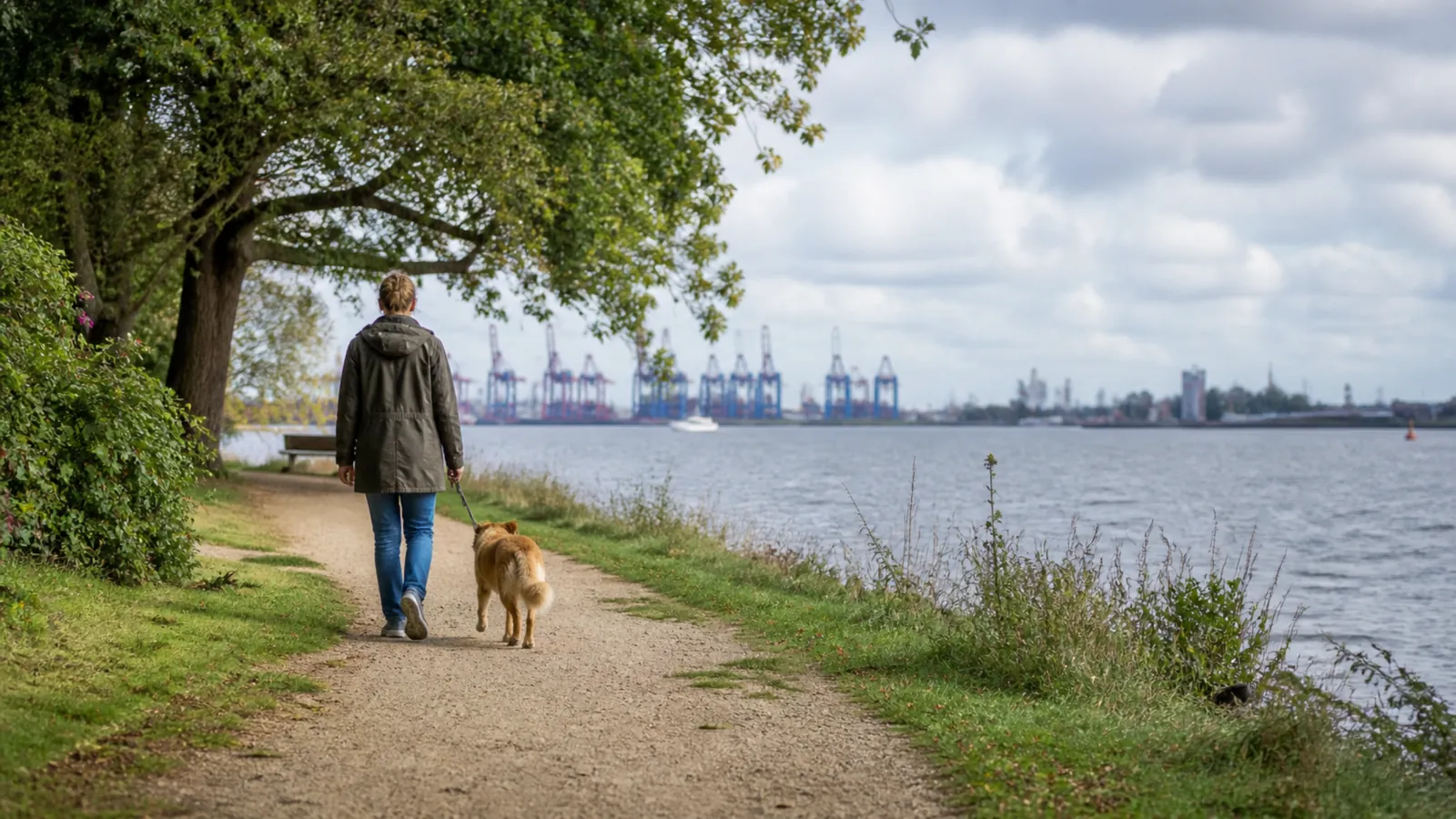 Hund an der Leine, Spaziergang am Wasser